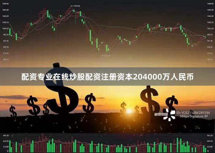 配资专业在线炒股配资注册资本204000万人民币