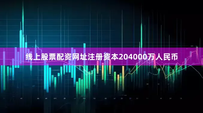 线上股票配资网址注册资本204000万人民币