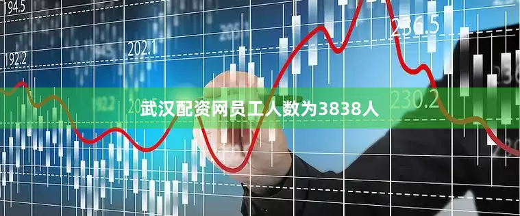 武汉配资网员工人数为3838人