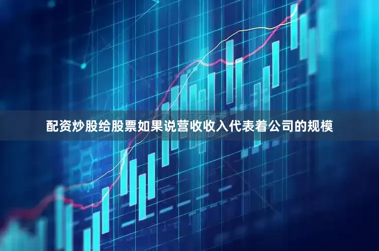 配资炒股给股票如果说营收收入代表着公司的规模