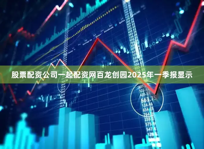股票配资公司一起配资网百龙创园2025年一季报显示