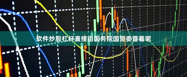 软件炒股杠杆直接由国务院国资委管着呢